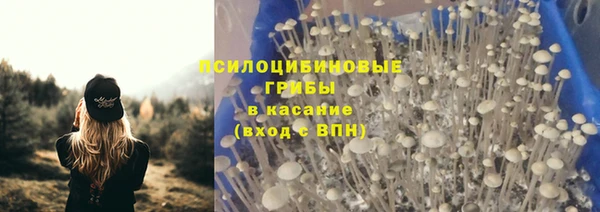 гашик Абинск