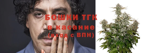 твердый Снежногорск