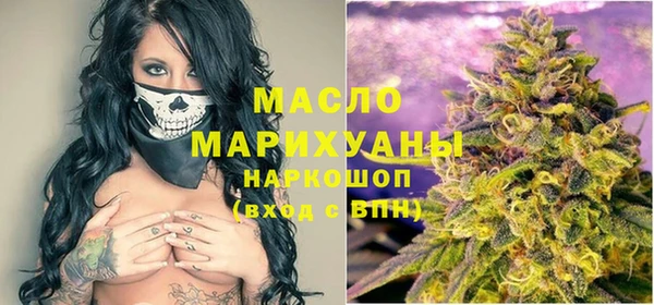 твердый Снежногорск