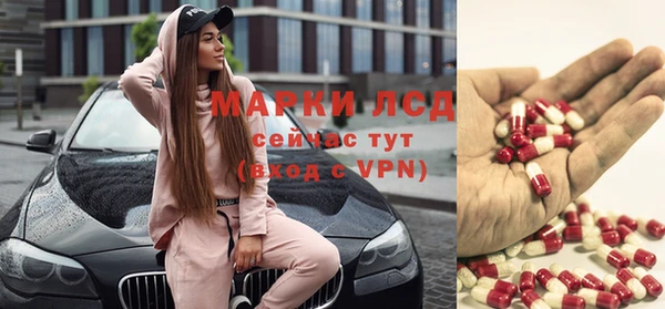 ПСИЛОЦИБИНОВЫЕ ГРИБЫ Слюдянка