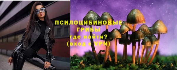 гашик Абинск