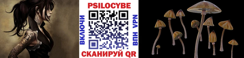 Галлюциногенные грибы Magic Shrooms как найти наркотики Кедровый